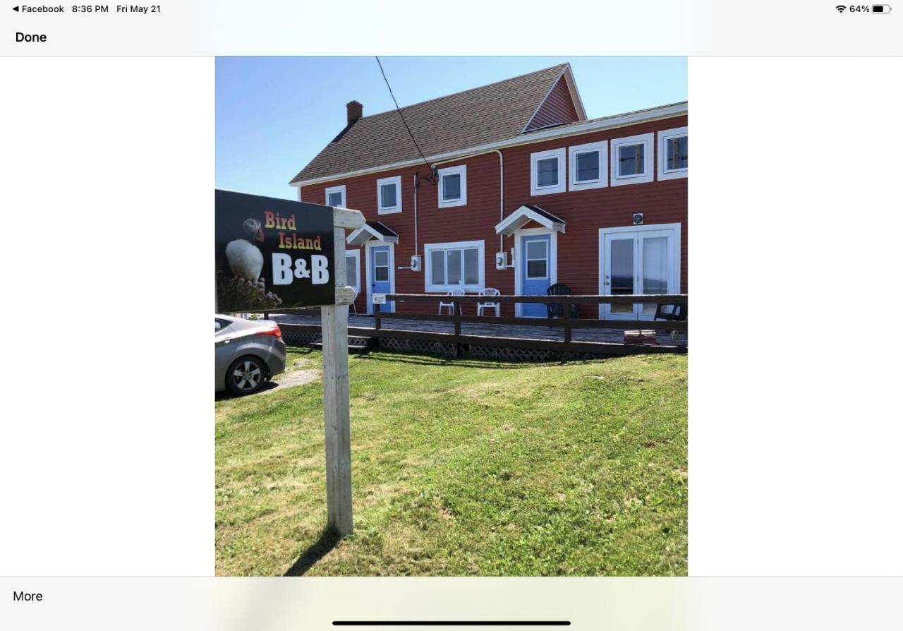 Bird Island B&B Bed And Bubble Elliston Bagian luar foto