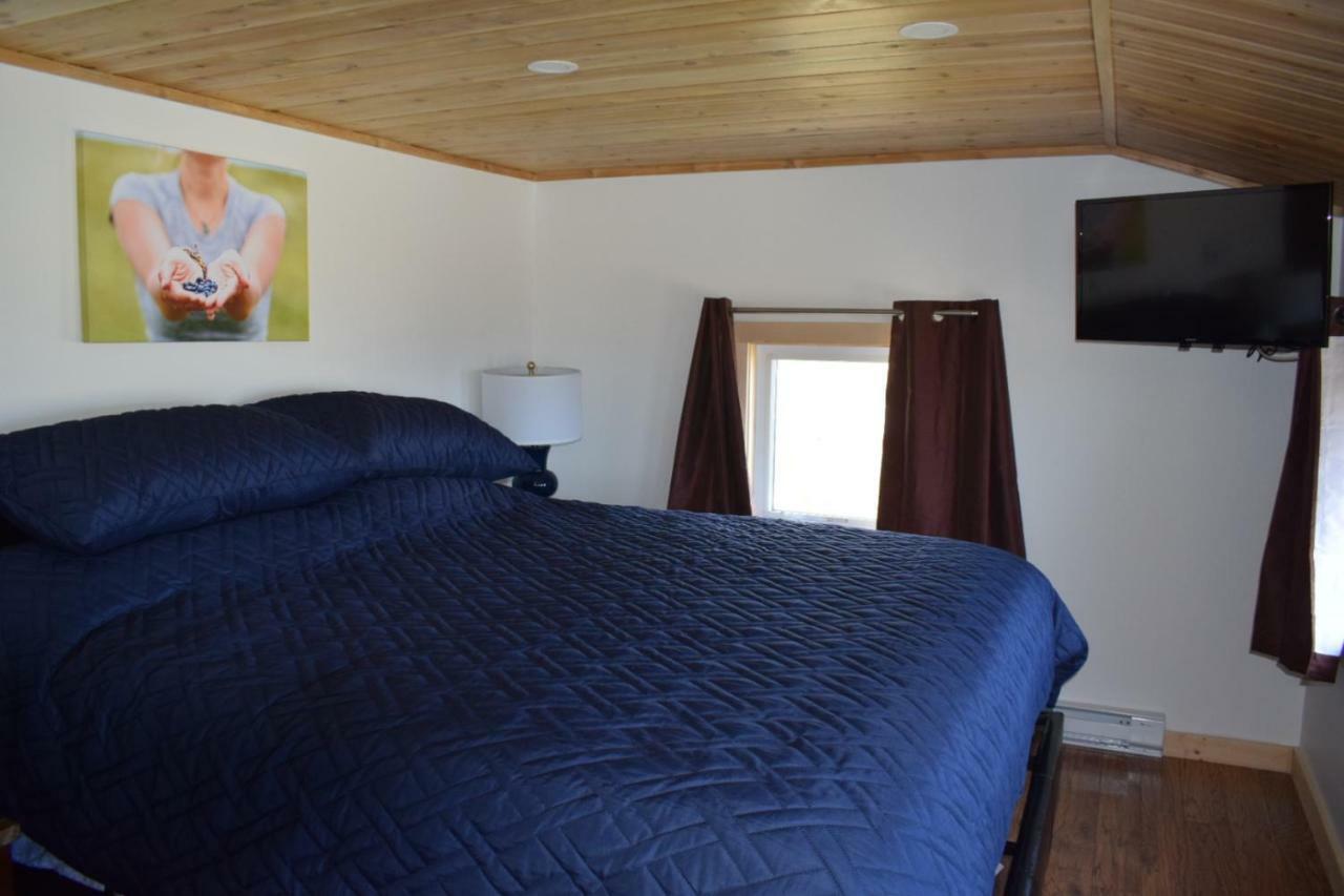 Bird Island B&B Bed And Bubble Elliston Bagian luar foto