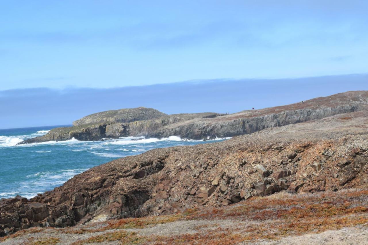 Bird Island B&B Bed And Bubble Elliston Bagian luar foto