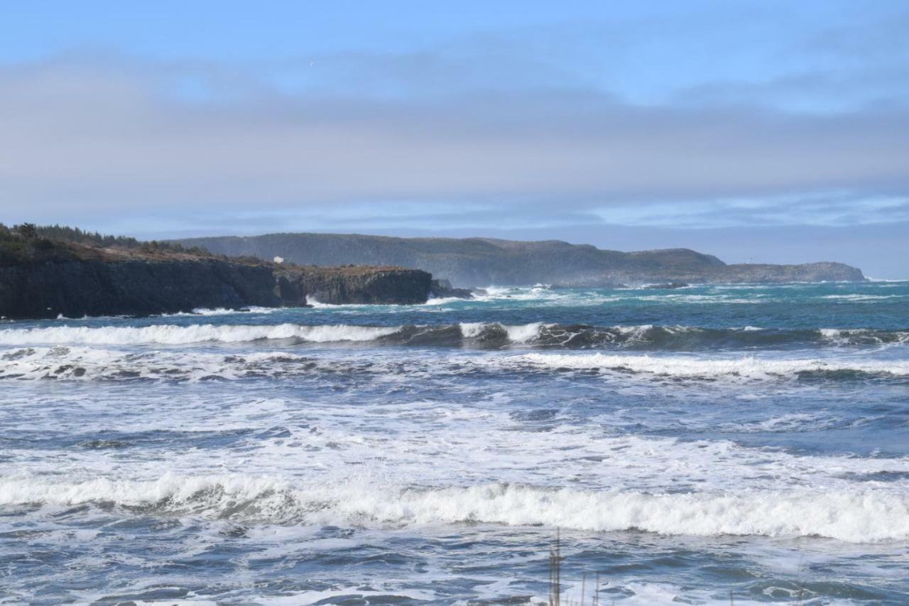 Bird Island B&B Bed And Bubble Elliston Bagian luar foto
